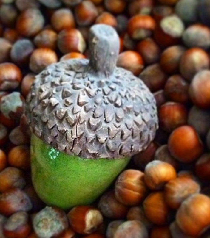 بلوط سایز 2