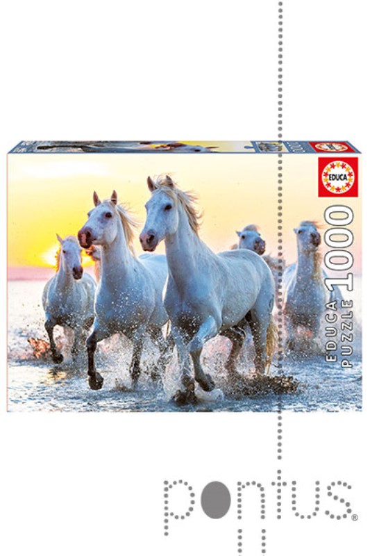 پازل 17105 White horses at sunset