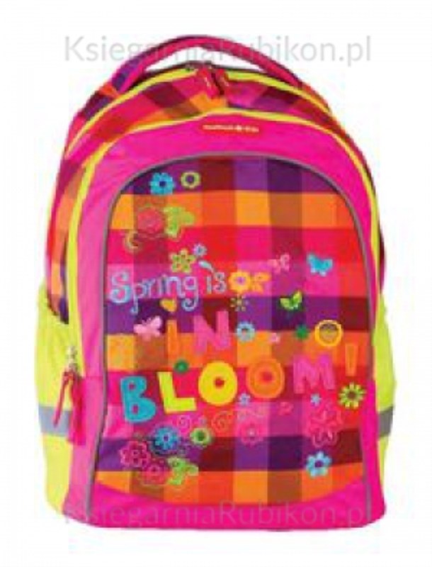کوله‌پشتی (66648cp)