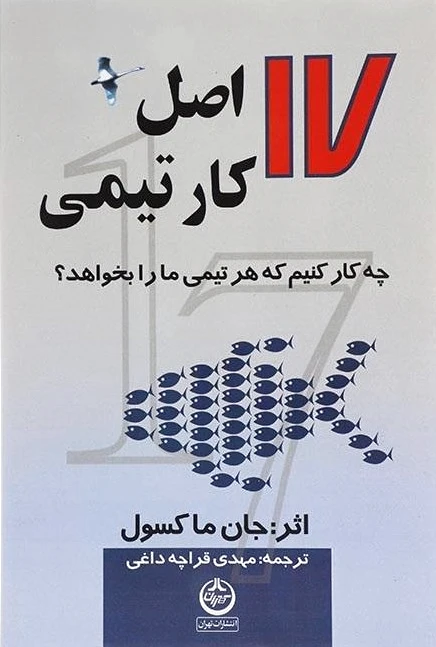 17 اصل کار تیمی