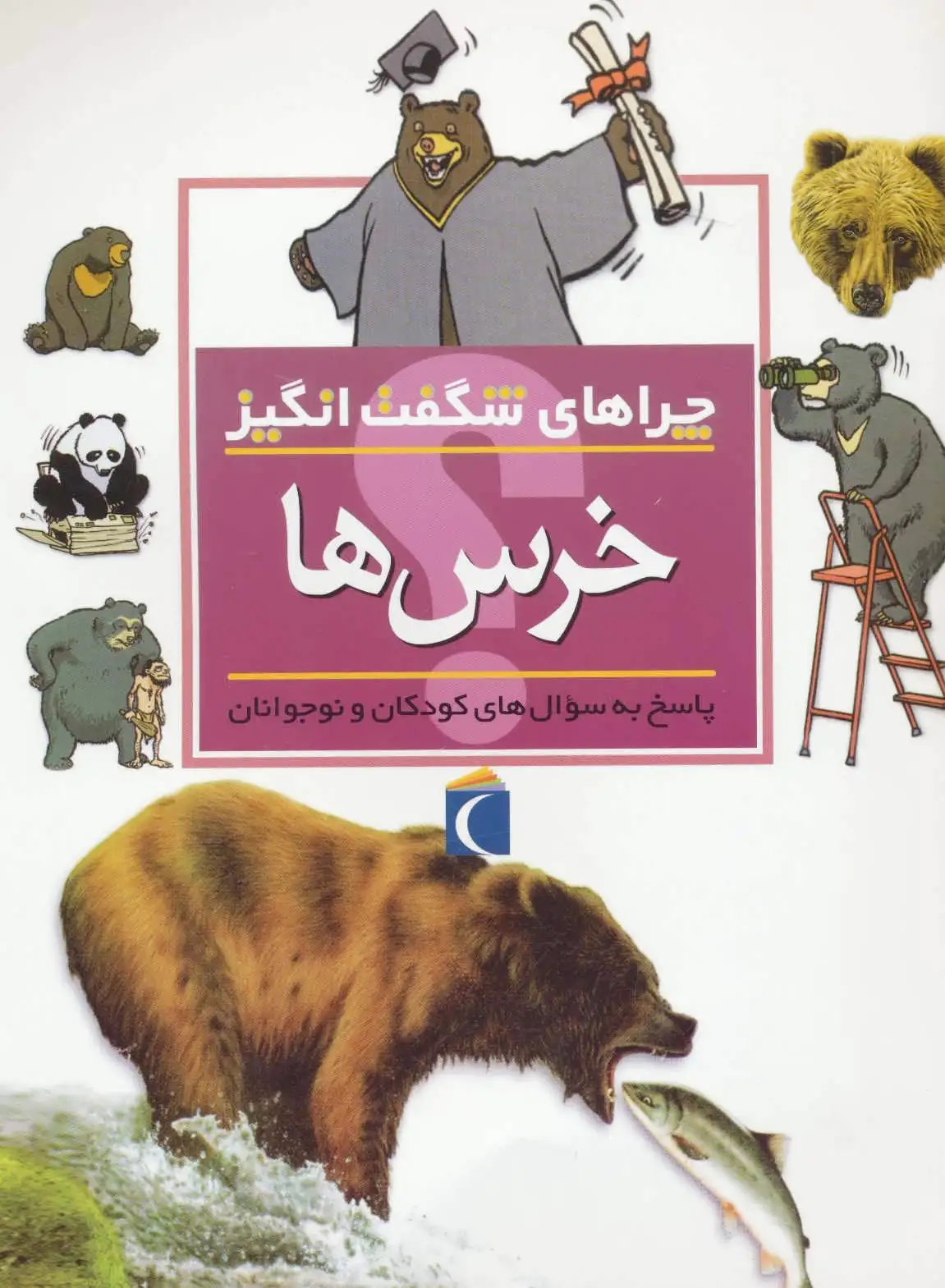 خرس ها