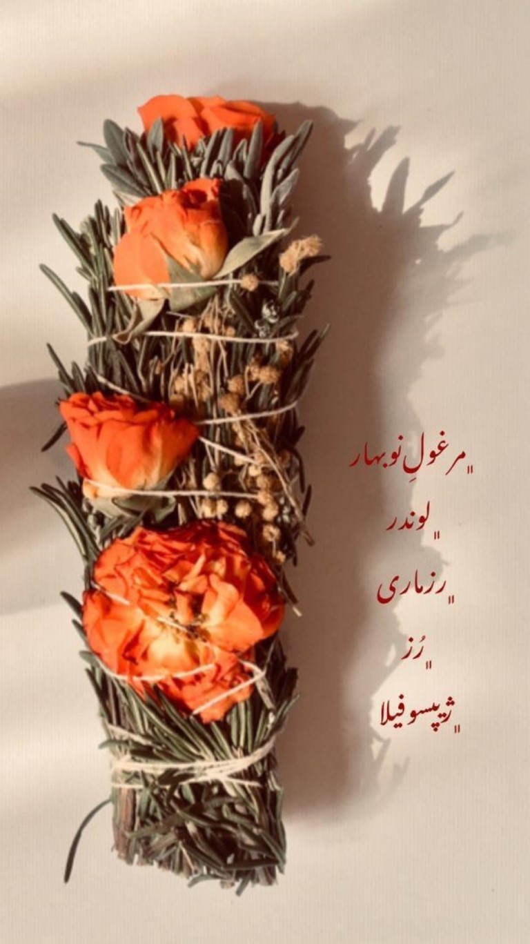 عود طبیعی نوبهار