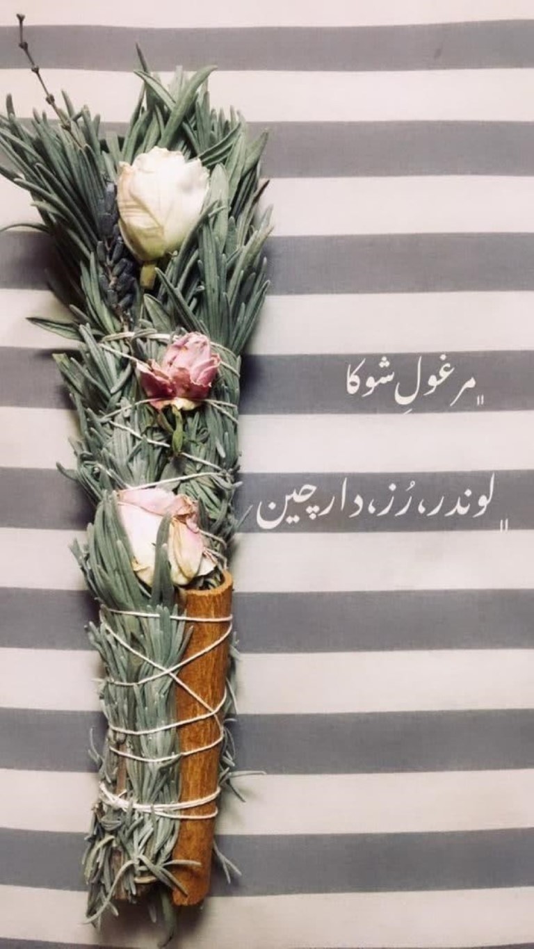 عود طبیعی شوکا