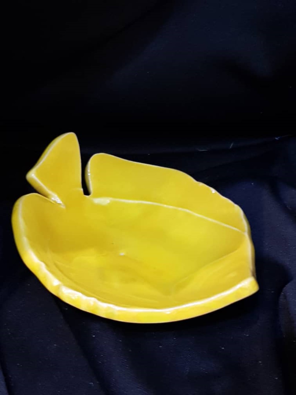 ماهی کوچک زرد (کد 55)