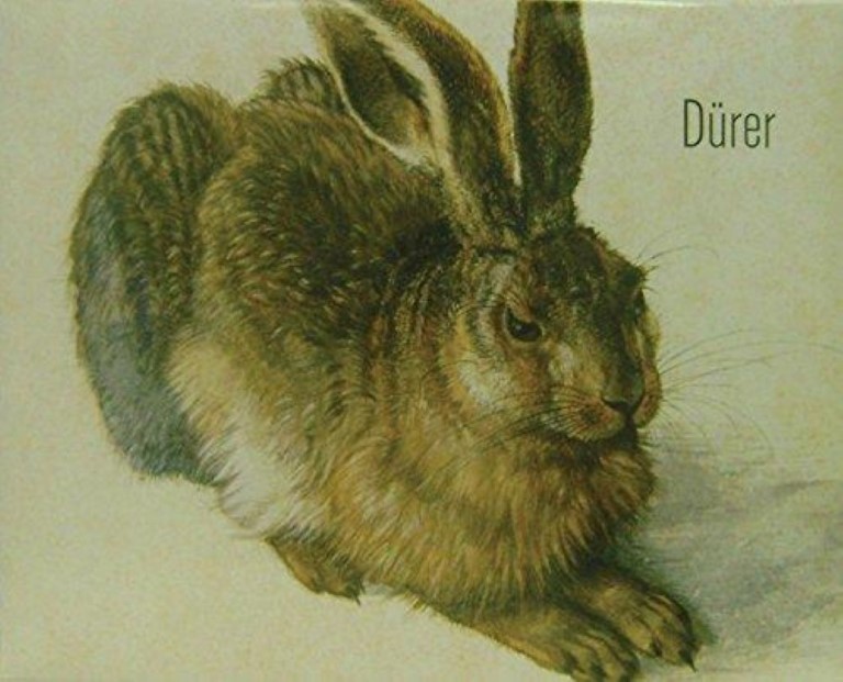 Durer