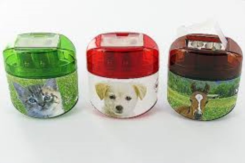 Kum display animal babies art