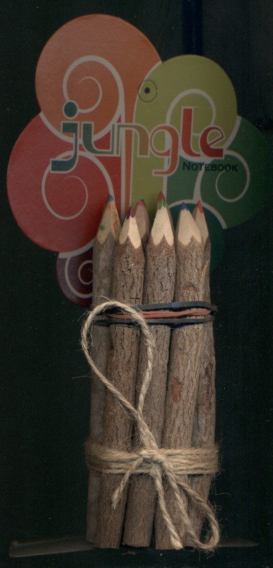 مداد رنگی چوبی 10 رنگ
