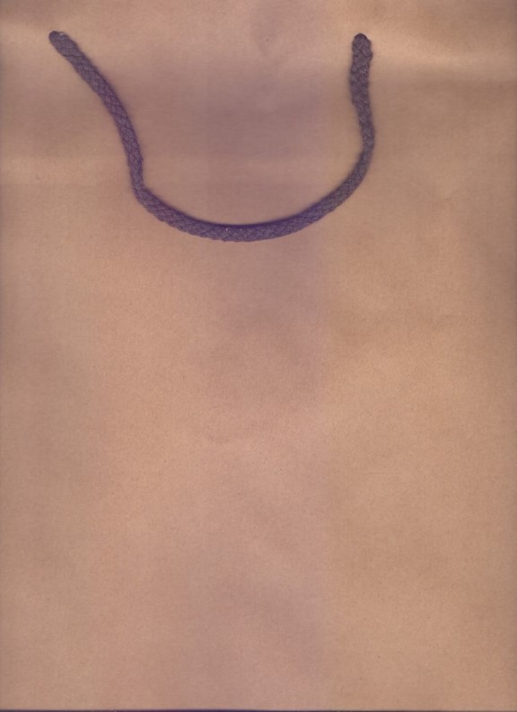 پاکت ساده 4