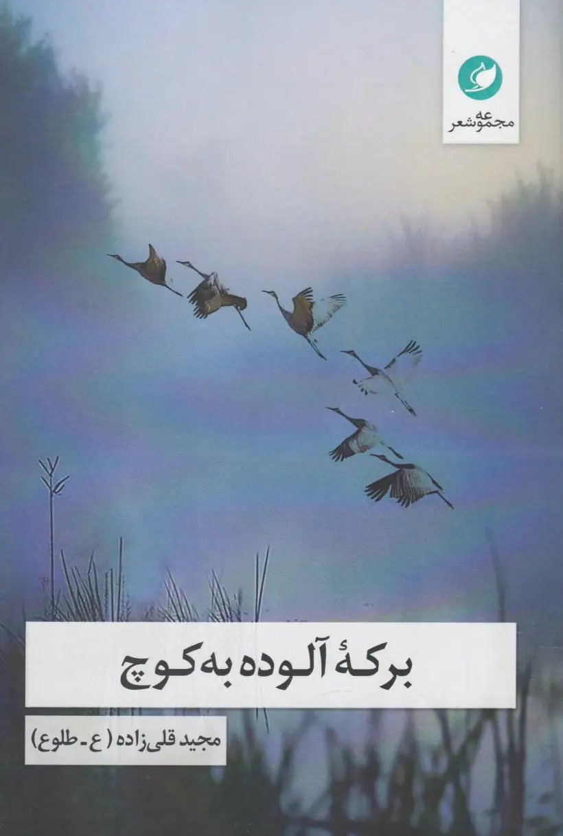 برکه آلوده به کوچ