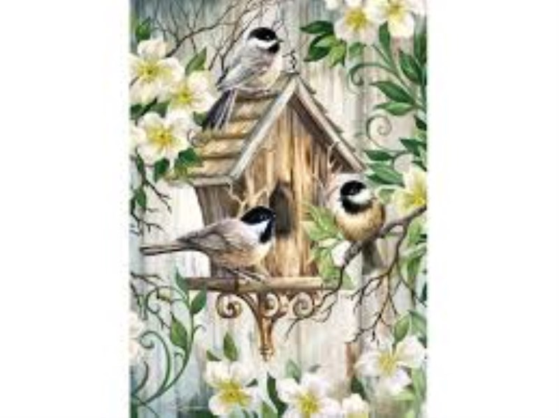 پازل 4350 (1000 تکه) The Nest