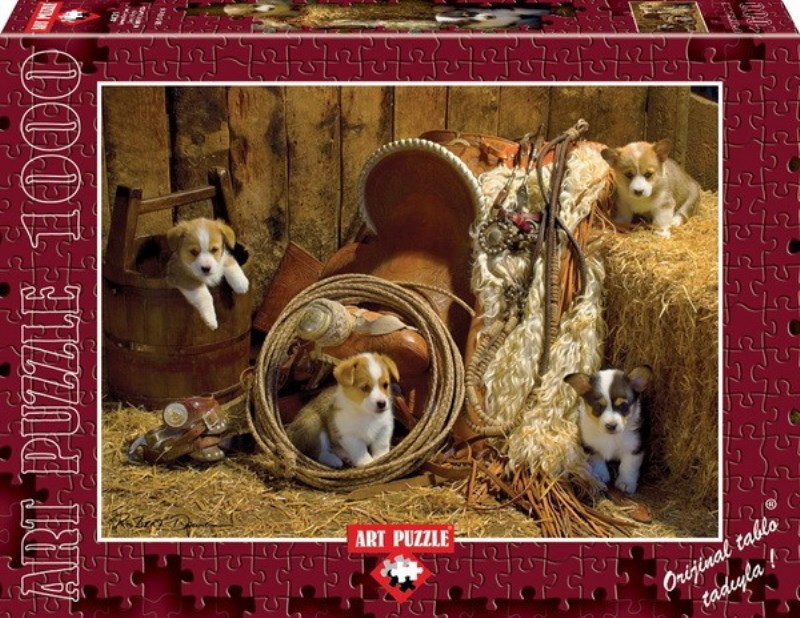 پازل 4431 (1000 تکه) corgi boys