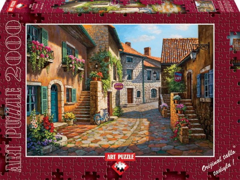 پازل 4709 ( 2000 تکه) Rue de village