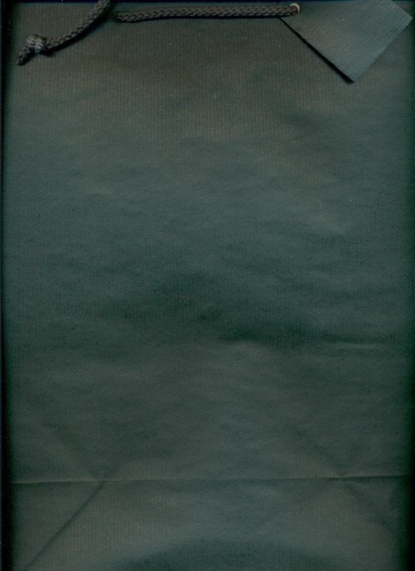 پاکت هدیه بزرگ سبز - 0