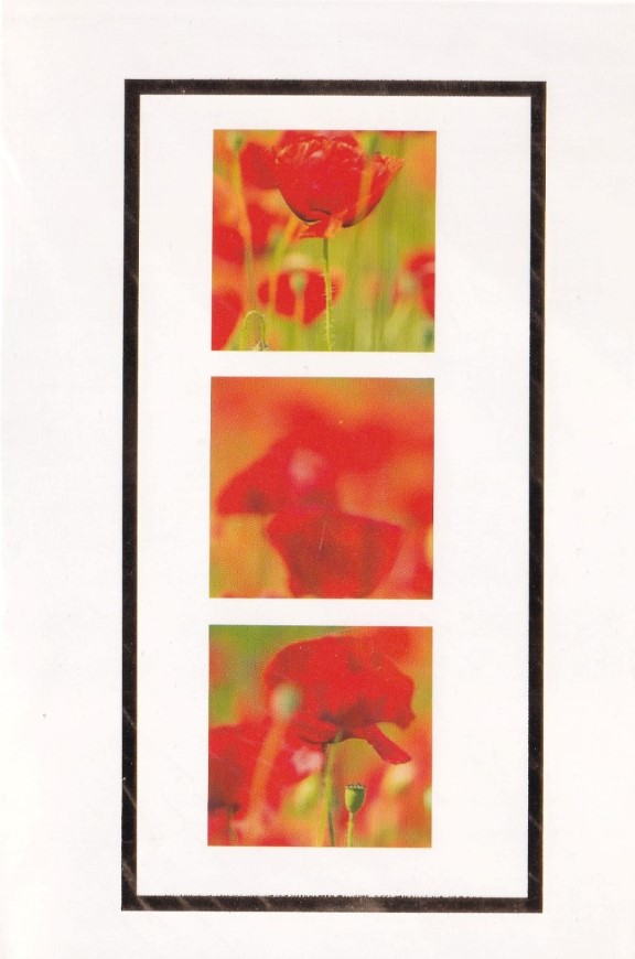 کارت‌پستال HN 15