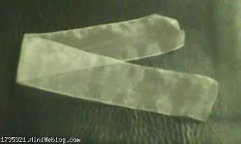 روبان حریر آهاردار