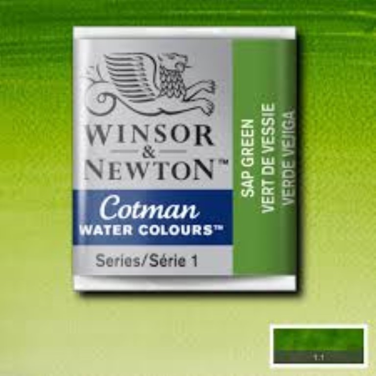آبرنگ قرصی کوچک Sap Green (0301599)