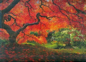 پازل (16310) japanesegarden