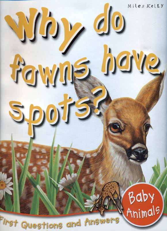 First questions and answers 10 animal
