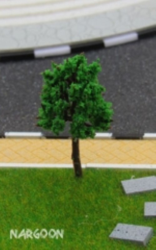 درخت زبان گنجشک 4.5cm (102)