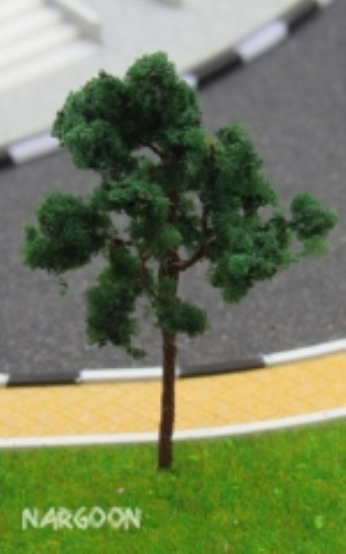 درخت ایتالیایی 4cm (105)