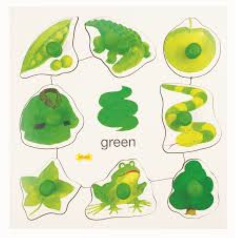 Colours set 1 pegged puzzles 1 green
