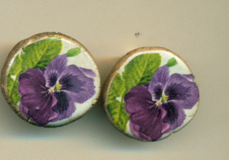 گوشواره کلیپسی