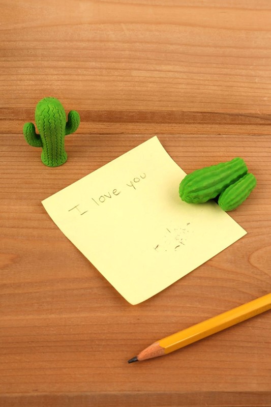 Cactus Erasers (ER56)