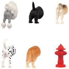 Dog butt magnets 6 per set