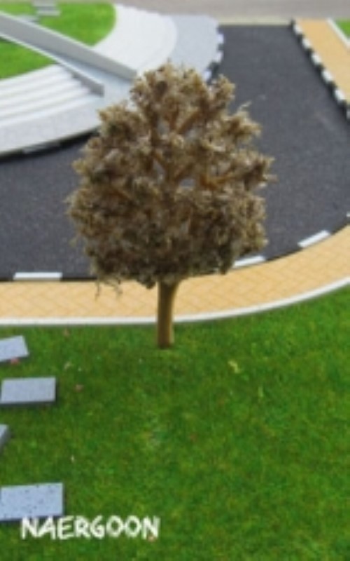 درخت سبز یشمی 6cm (907)