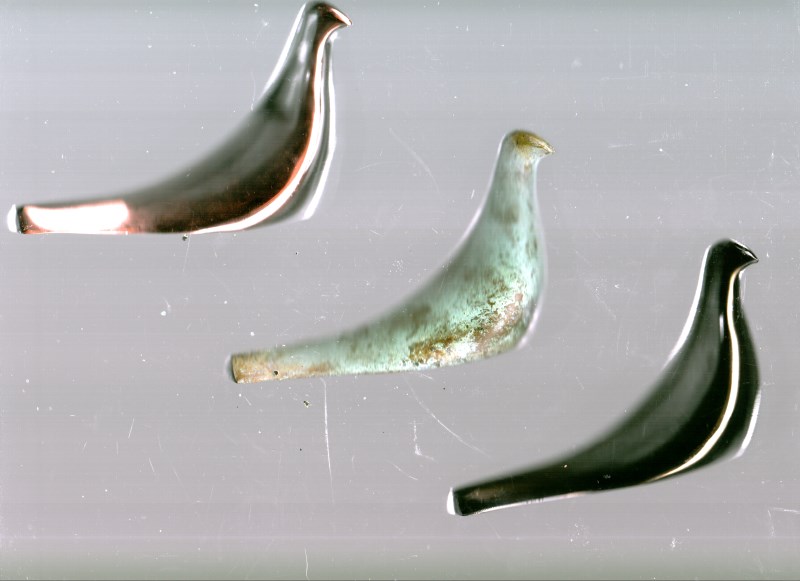 پرنده برنجی