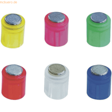 Laurel power cylinder magnet 4806