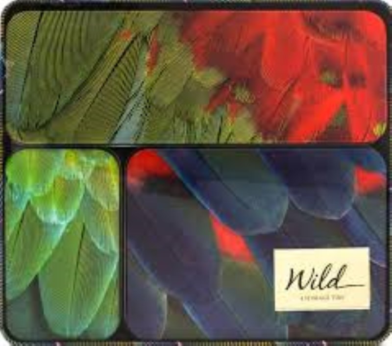 جعبه wild WStorage Tins