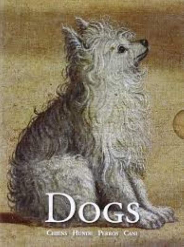 کارت‌پستال frechmann cards dog