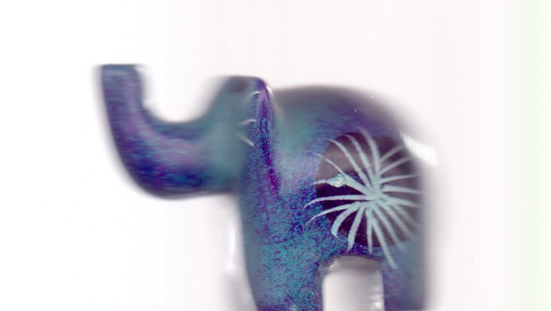 فیل M