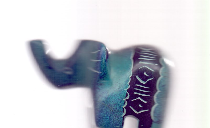 فیل L