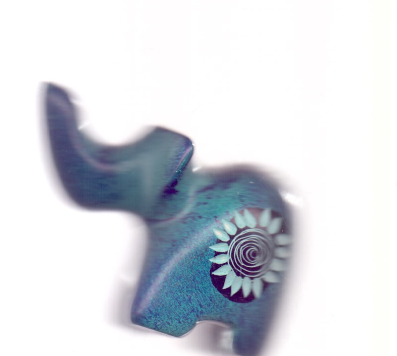 کرگدن VM