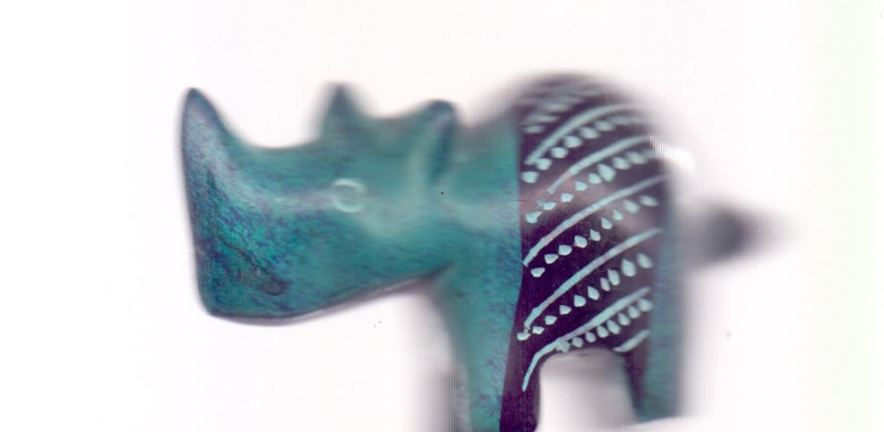 کرگدن S