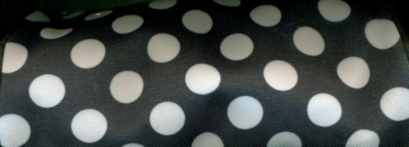 جامدادی لگنور (dots)