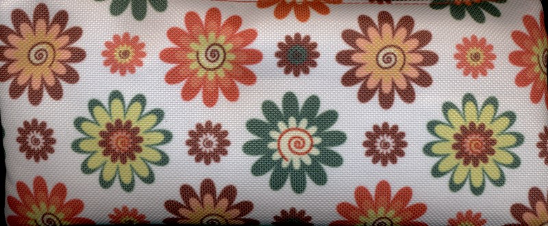 جامدادی لگنور (Bloom)