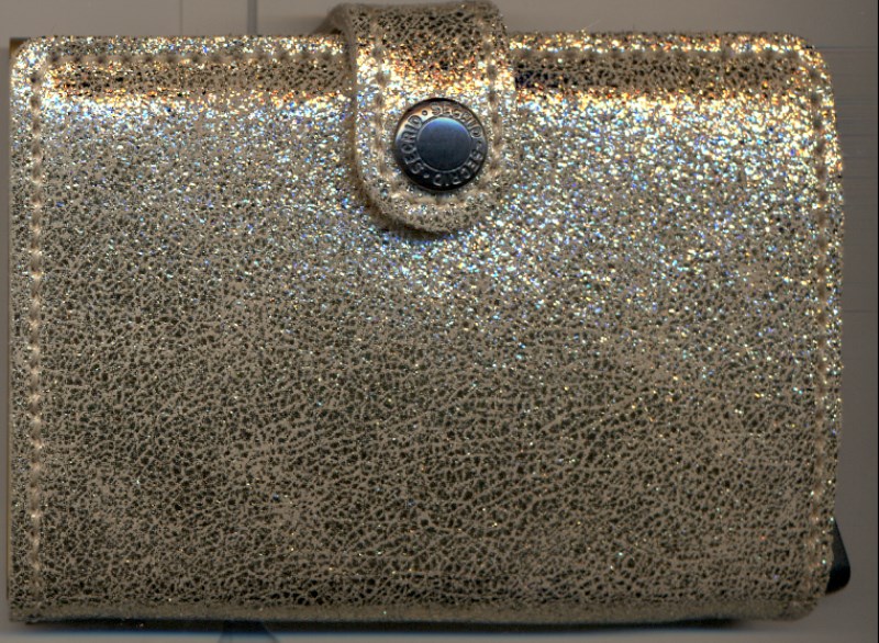 جاکارتی miniwallet mg champagne