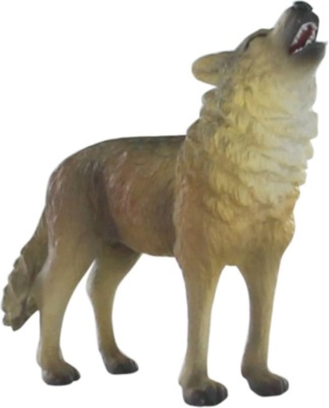 گرگ در حال زوزه 88341