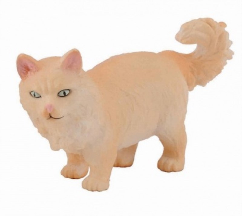 گربه جنگلی نروژی 88328