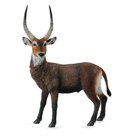 واترباک 88562