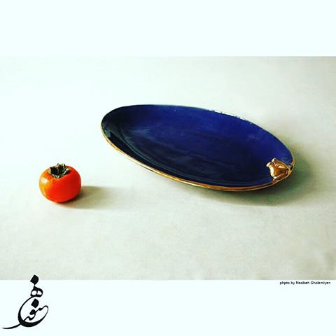 دیس بیضی L