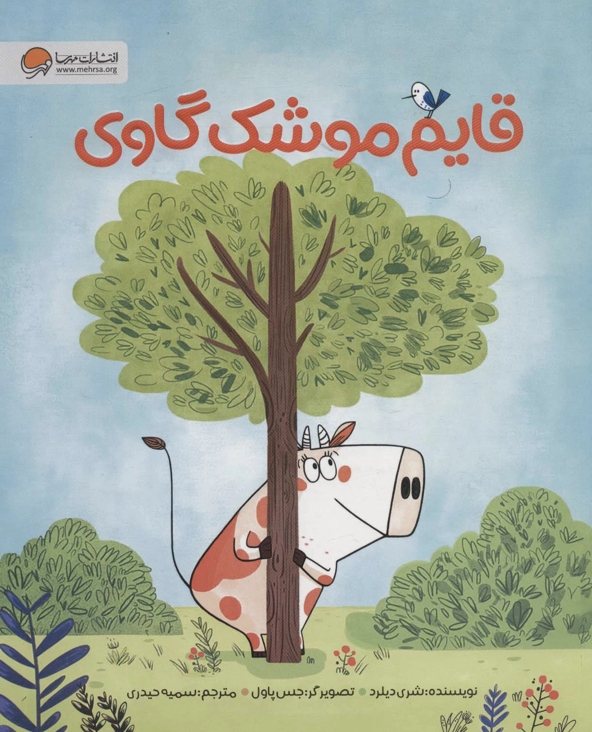 قایم موشک گاوی
