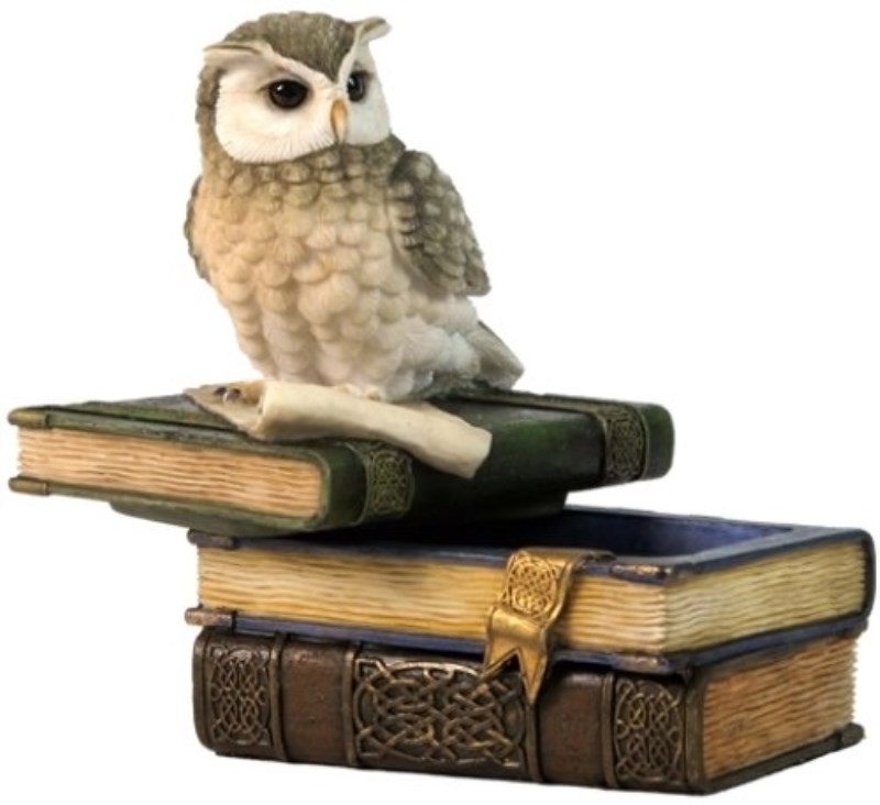 جعبه طرح جغد سفید wu75509ab - 0