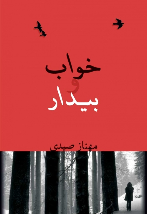 خواب و بیدار