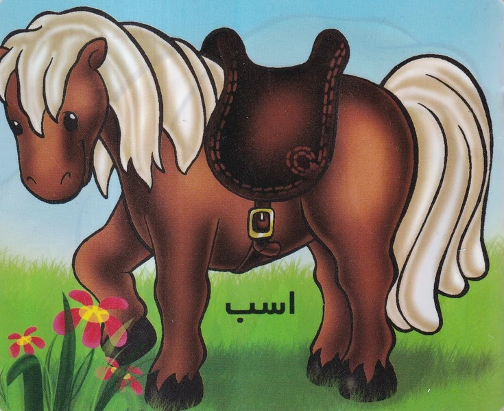 اسب