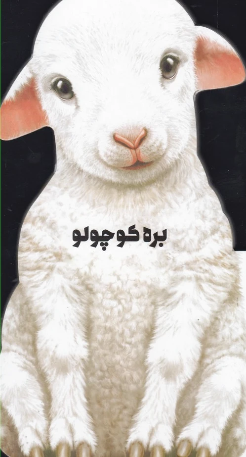 بره کوچولو