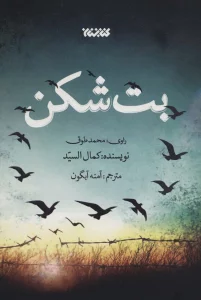 بت شکن
